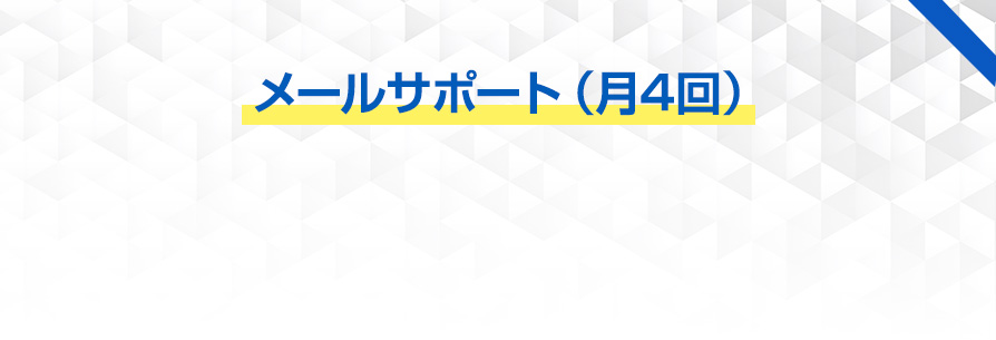 メールサポート（月4回）