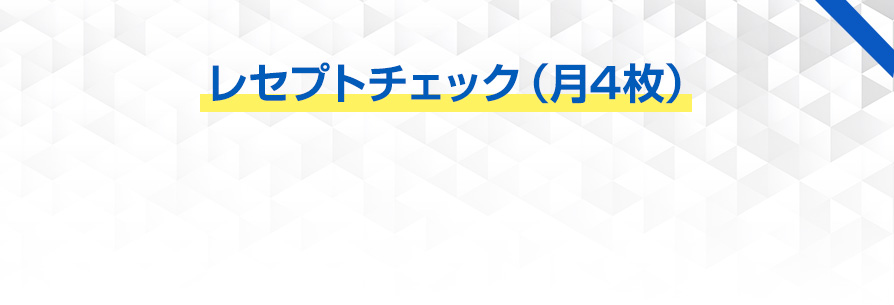 メールサポート（月4回）