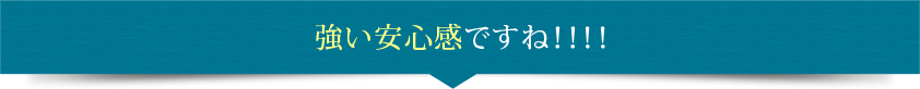 強い安心感ですね！！！！