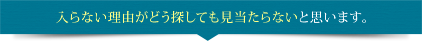 入らない理由がどう探しても見当たらないと思います。