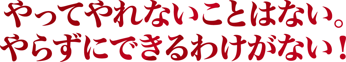 やってやれないことはない。やらずにできるわけがない！