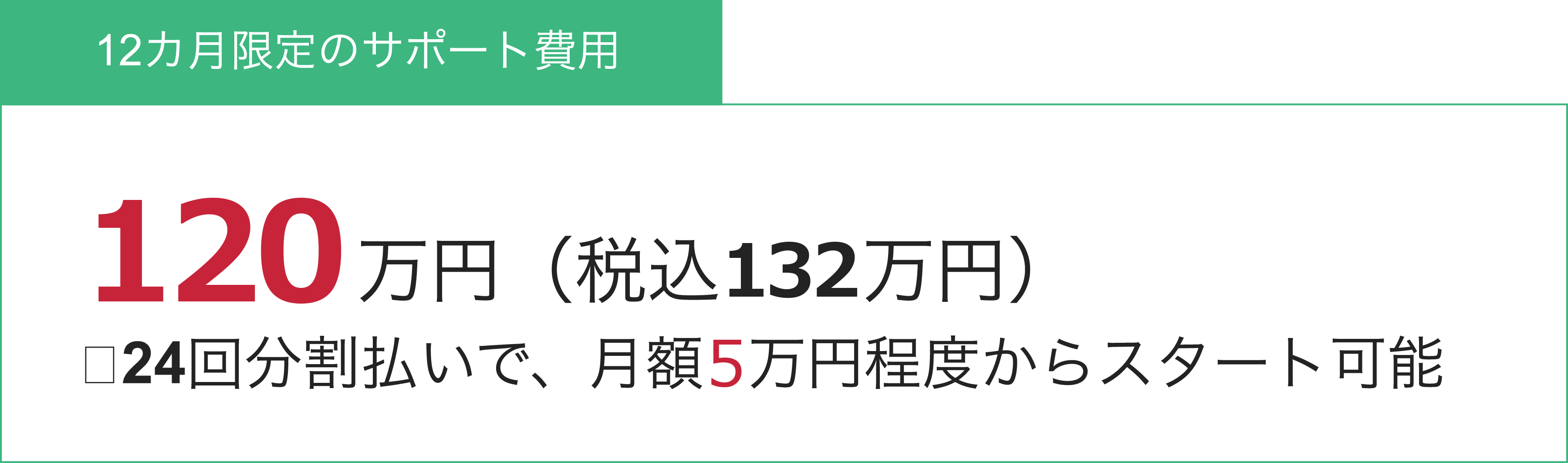 12か月限定のサポート費用
